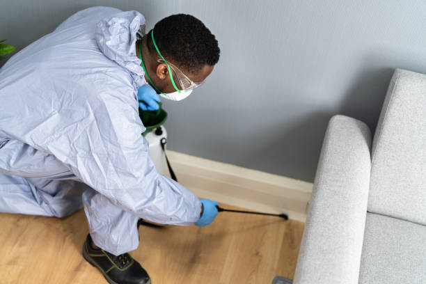 Best Real Estate Pest Inspections  in Melvindale, MI